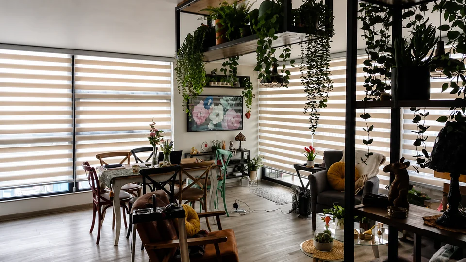 Ambiente existente con cortinas roller y vegetación interior